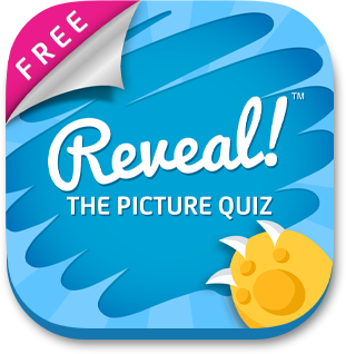 Reveal The Picture Quiz